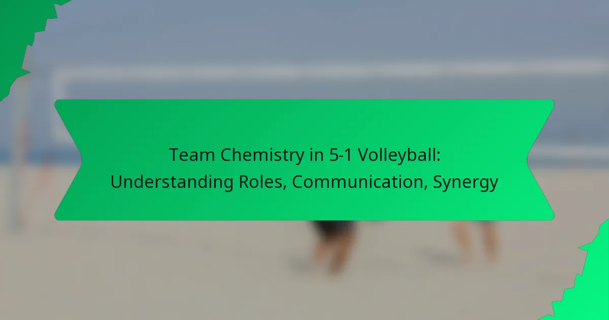 Team Chemistry in 5-1 Volleyball: Understanding Roles, Communication, Synergy